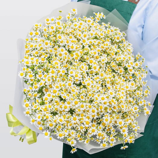 Ромашки