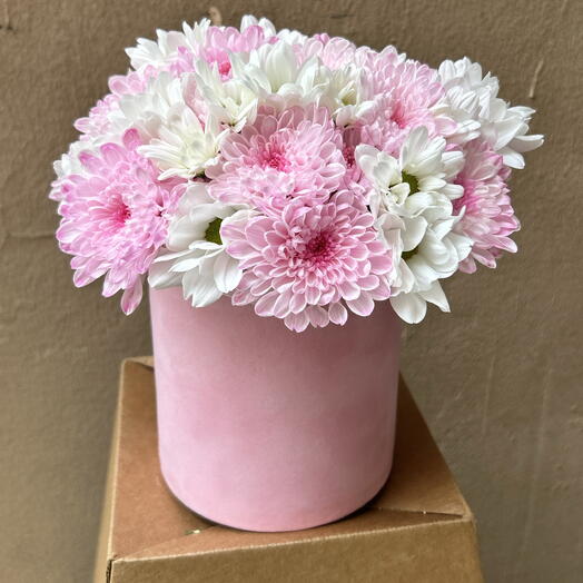 Маленькая композиция с хризантемой ромашка🌸🤍