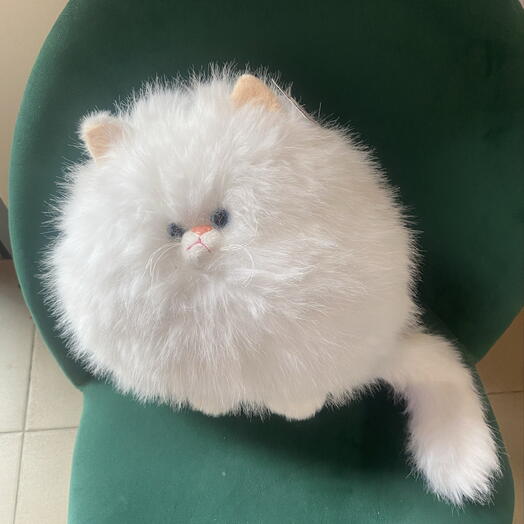 Кот белый, мягкая игрушка