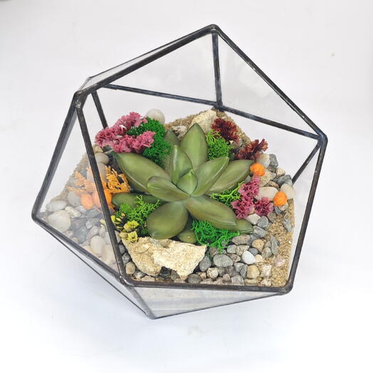 Florarium with succulents Icosahedron "Bright"11cm (dia.13cm)