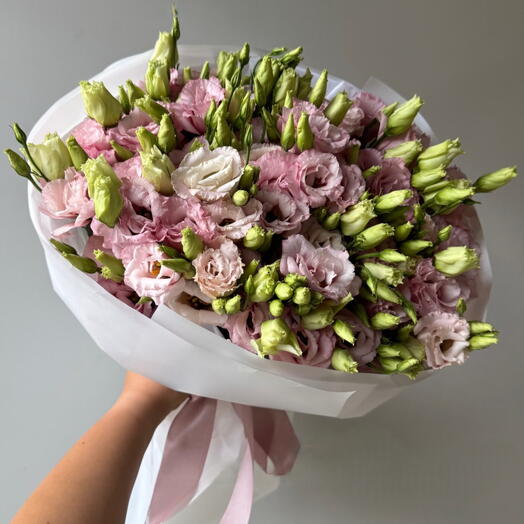 The Eustoma Collection