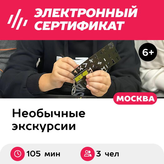 Подарочный сертификат Выставка Большая Страна и 1 мастер-класс, 1 взросл и 2 детей, выходн,105мин