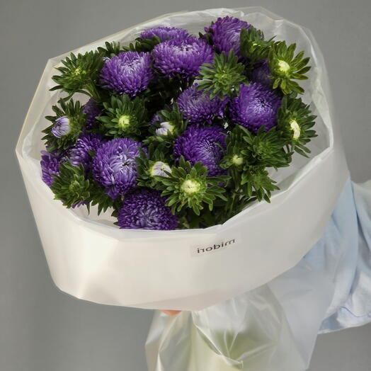 Фиолетовые кустовые астры 💜
