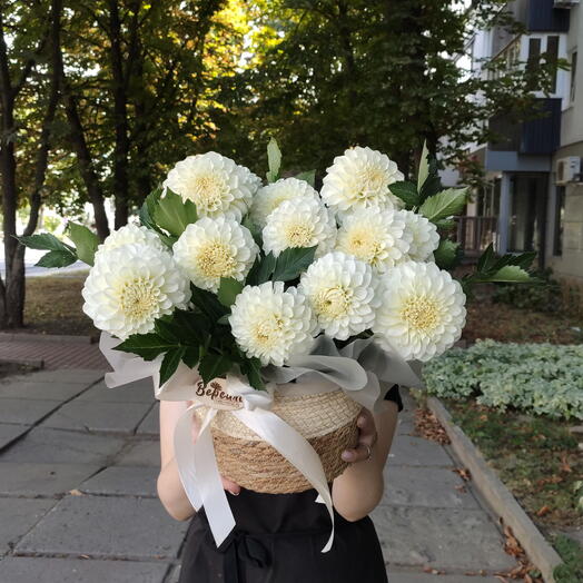 Георгины в корзине