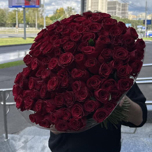 Крупная бордовая Роза