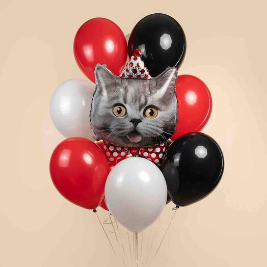Кот happy birthday