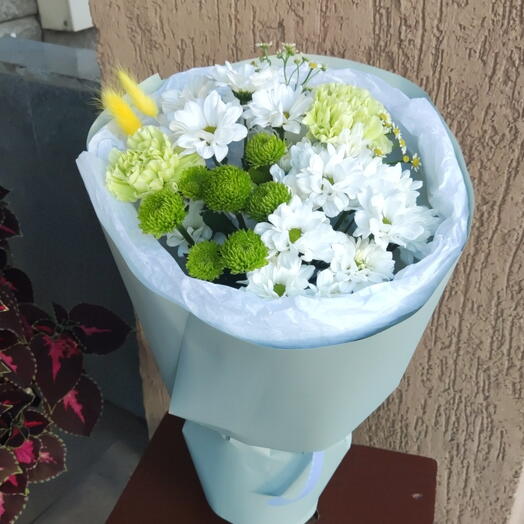 Прованс