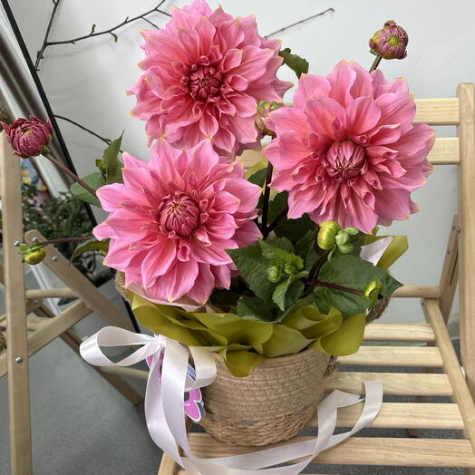 Композиция с макси георгинами в плетеном кашпо 🌸