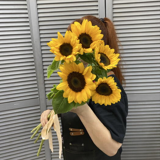 Подсолнухи 🌻