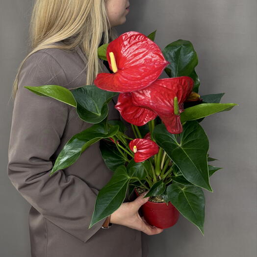 Fenomen Flowers