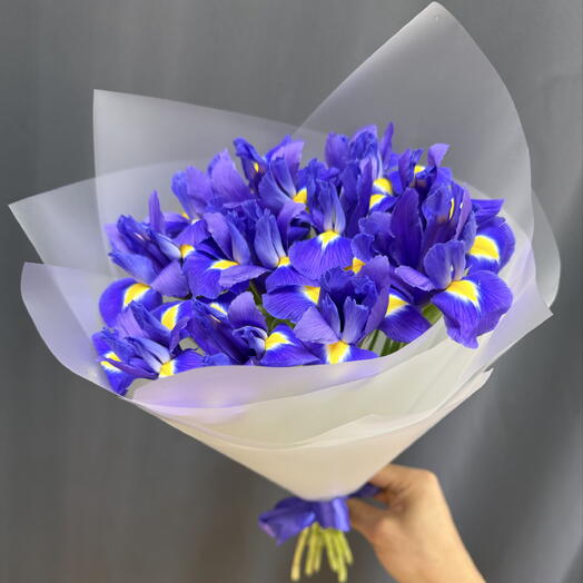 Ирис Blue Magic s «фиолетовый букет»