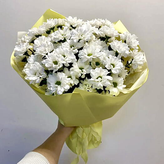 БУКЕТ РОМАШЕК