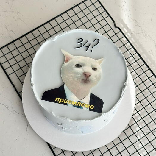 Торт с котом ко Дню рождения