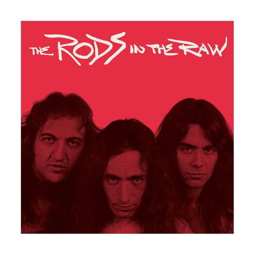 Виниловая пластинка Rods, The — In The Raw, запечатанная