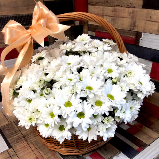 Chamomile