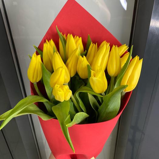Тюльпан 19