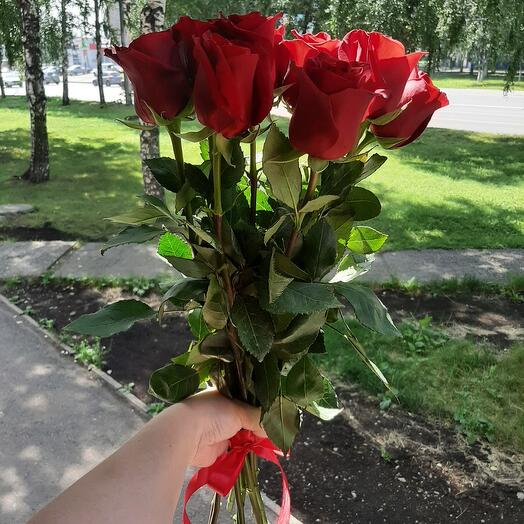 9 красных роз на ленте