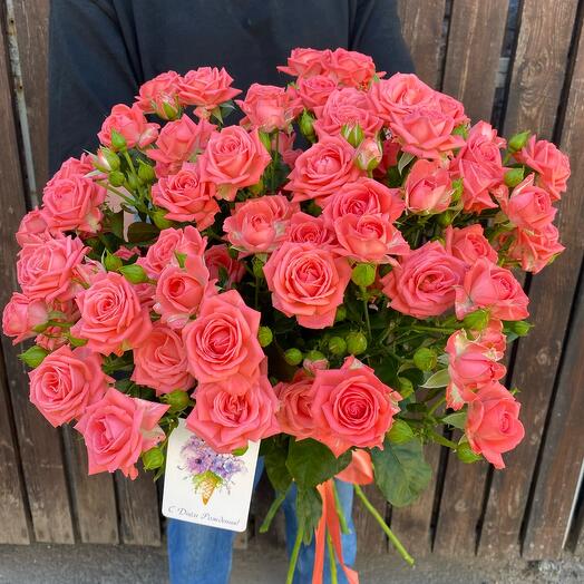 Bouquet "WOW" bush Rose
