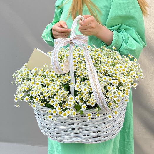 Корзина с цветами ромашки