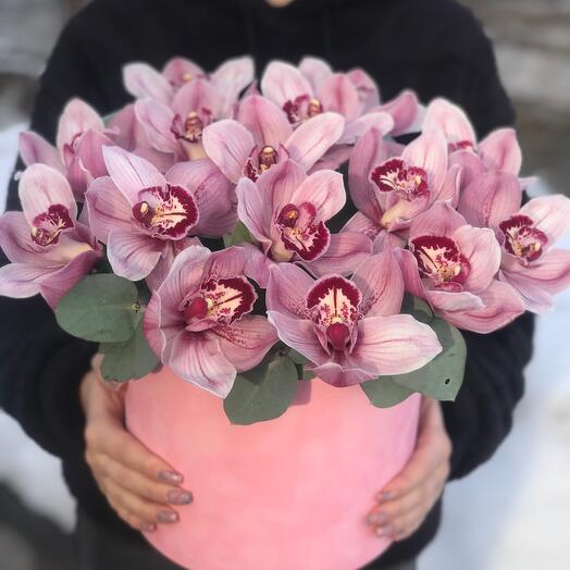 Pink orchids
