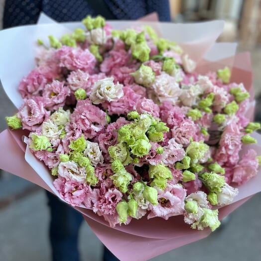 Eustoma mix
