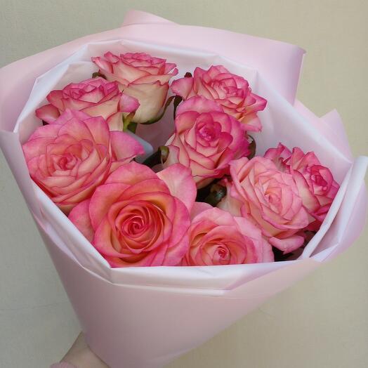 Roses are pink 9
