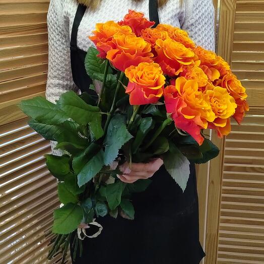 Rosas España 15