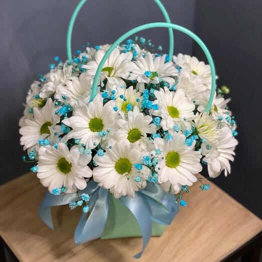 Ромашки с голубой гипсофилой