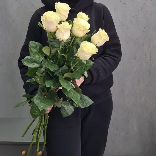 Rosas 70 cm