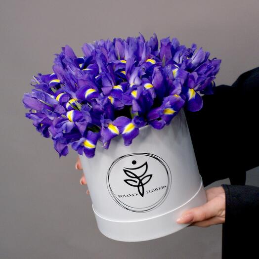 Коробка из 25 ирисов