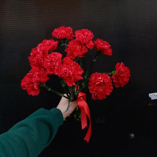Красная гвоздика 11 шт
