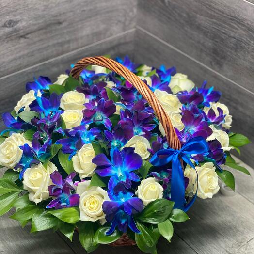 Rosa blanca con Dendrobium azul