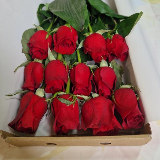 Letter box red roses