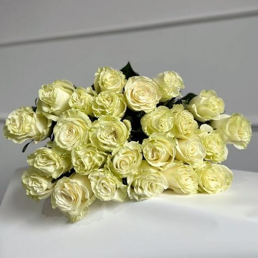 Ramo de 25 rosas Ecuatorianas Mondial
