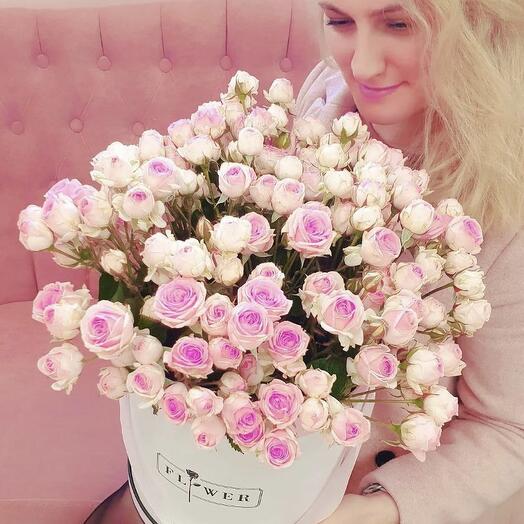 La Rosa