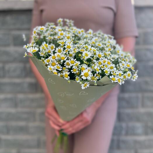 Bouquet of daisies