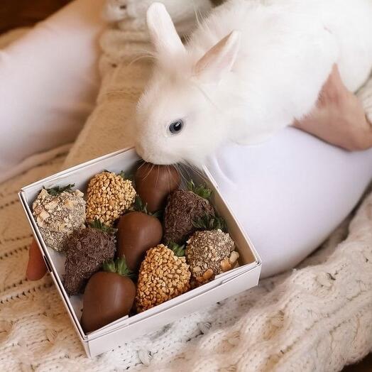 Клубника в шоколаде 9