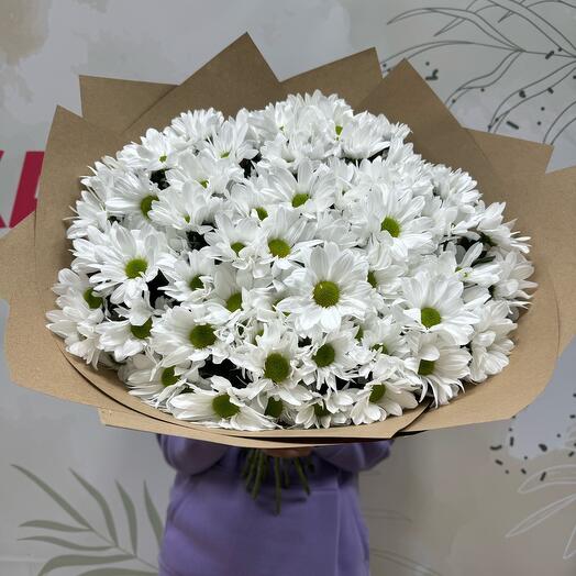 15 white chrysanthemums