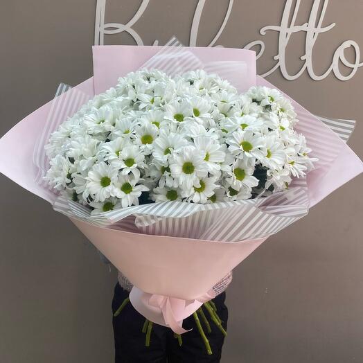 Bouquet of giant "Daisies"