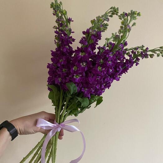 Букет из ароматной маттиолы