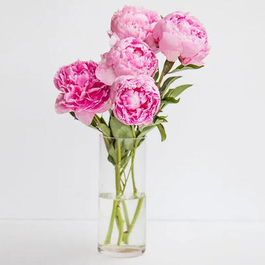 Sweety 5 Pink Peonies Vase