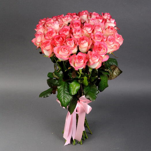 Pink Jumilla roses 51 roses