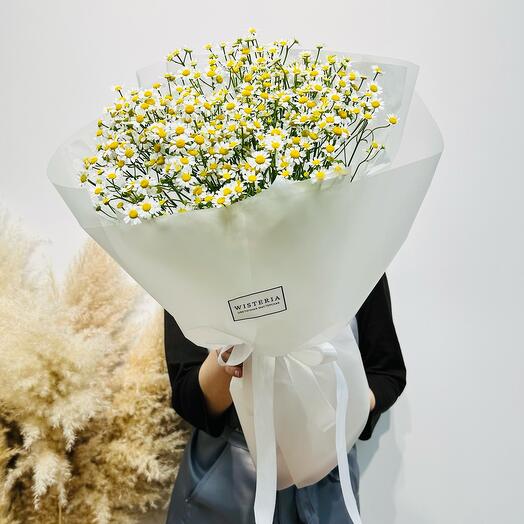 Bouquet of wild daisies (02010186)