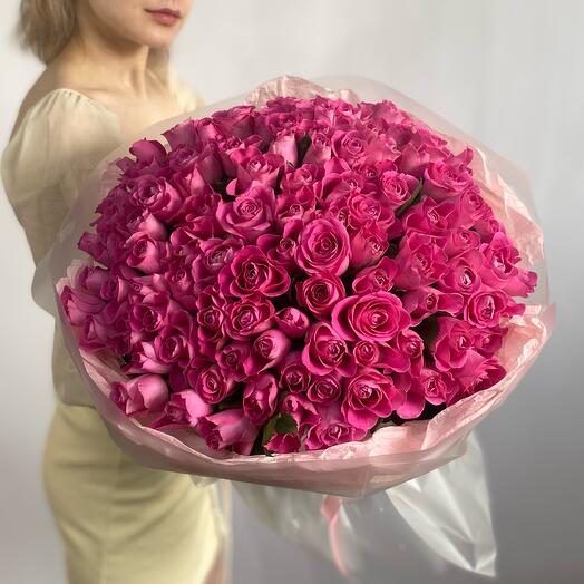 101 Aqua rose