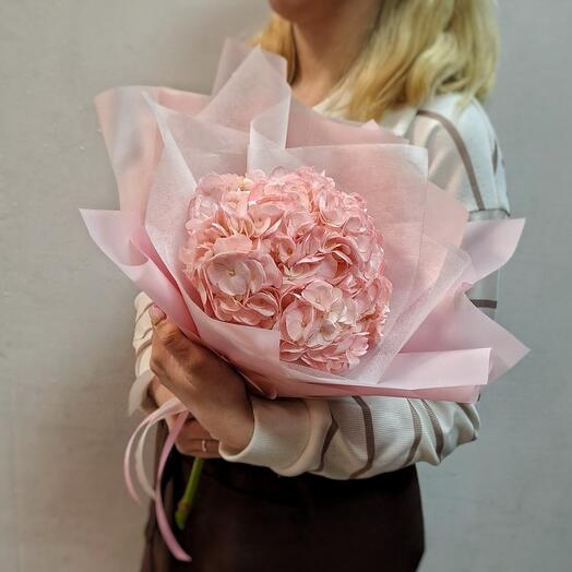 Cloud of Tenderness