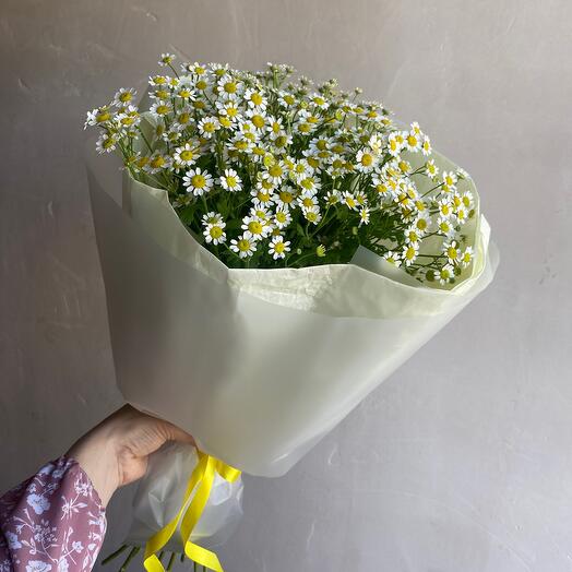 Букет ромашек