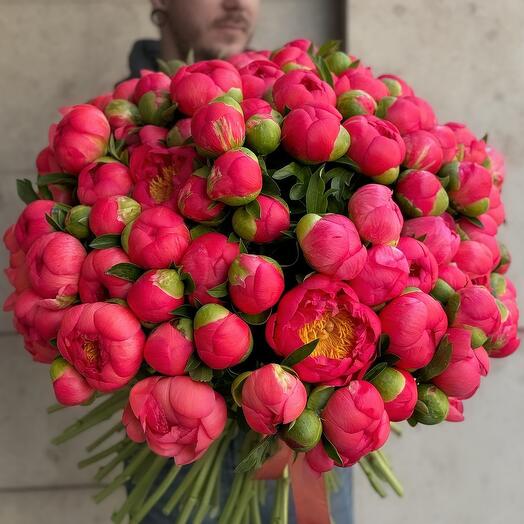 101 пион