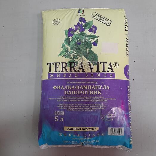 Живая земля, фиалка-кампанула,папоротник