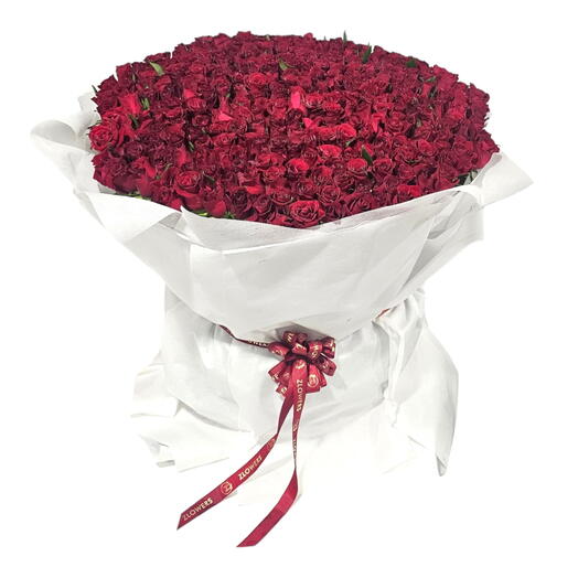 501 Red Roses Bouquet