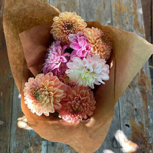 Dahlia mix 7 pieces